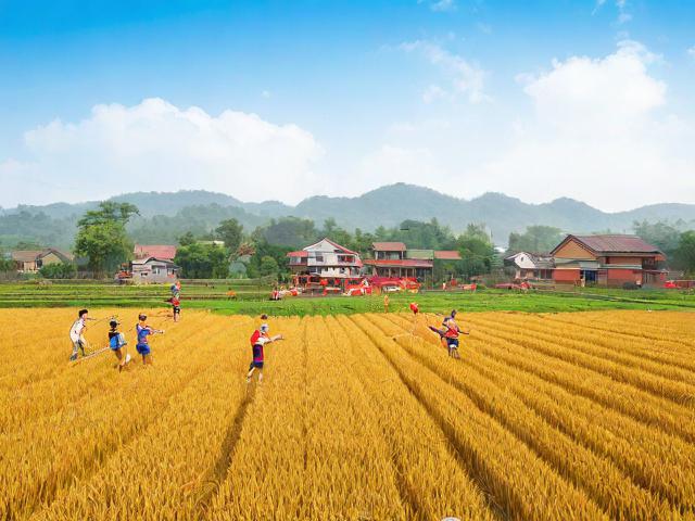 九游体育网站_ 丰收季节乡村运动会,体会乡土文化的独特魅力,农民丰收节运动会项目 九游体育网站_ 丰收季节乡村运动会,体会乡土文化的独特魅力,农民丰收节运动会项目