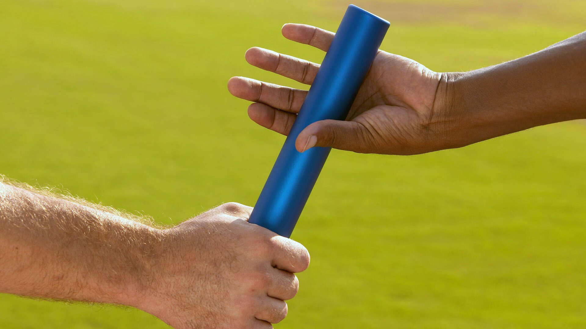 比利时马术协会与大学合作，开展马术运动营养研究，优化饮食方案。