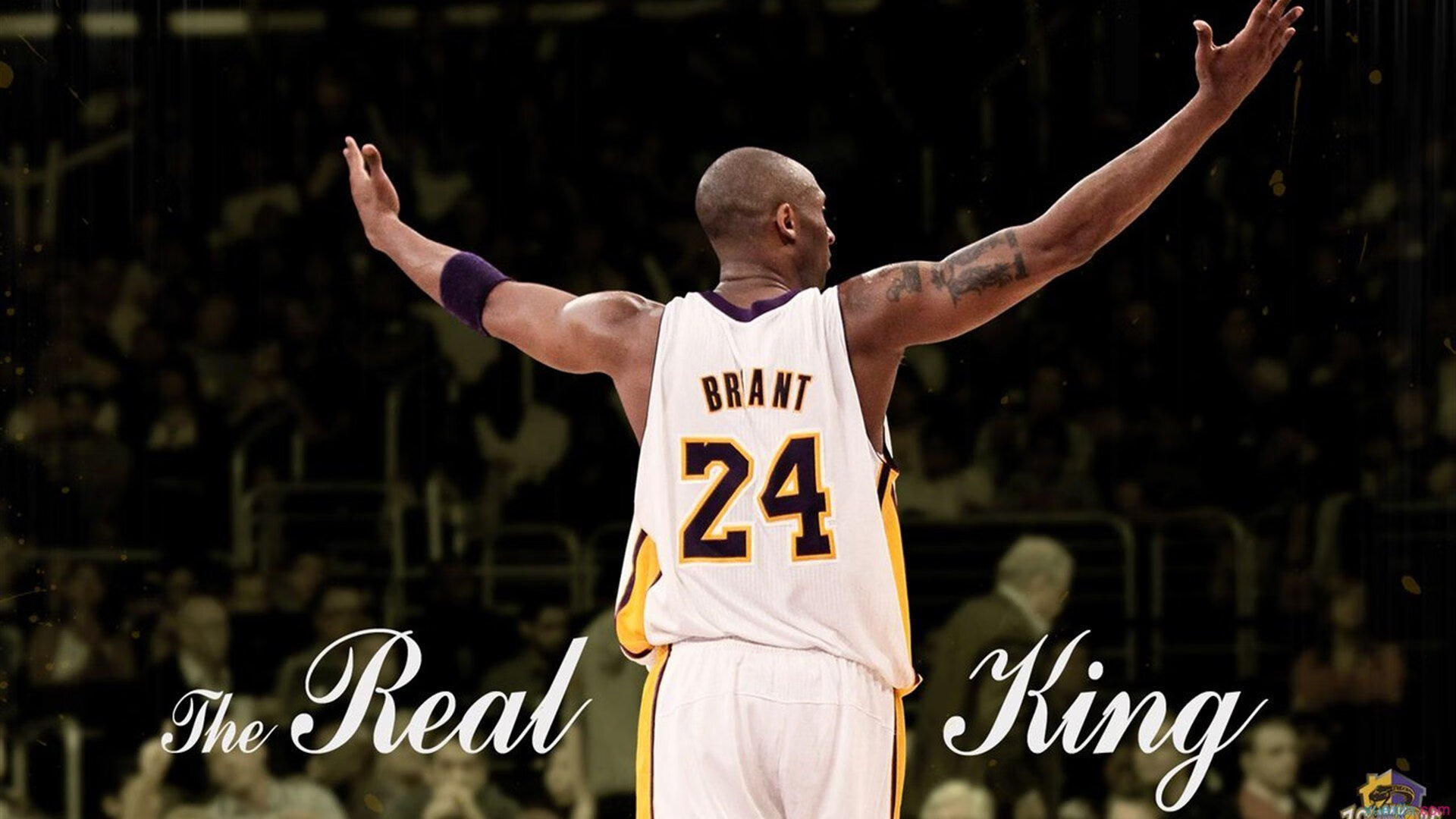 NBA球队进攻战术调整案例,nba进攻战术大全