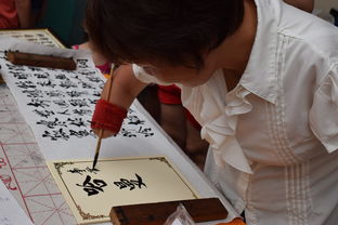 全国青少年趣味障碍挑战赛创造佳话，少儿障碍挑战赛